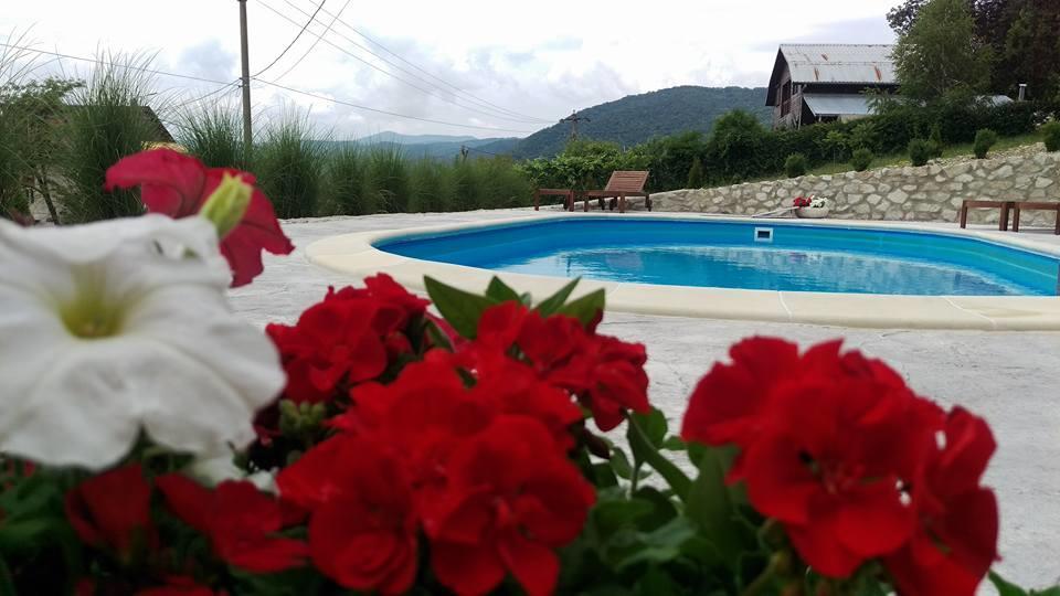 Pensiunea Casa Mircea & Restaurant Ieşelniţa Kültér fotó