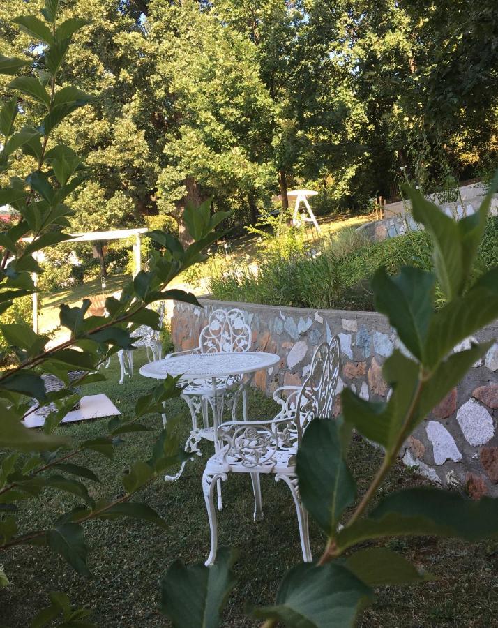 Pensiunea Casa Mircea & Restaurant Ieşelniţa Kültér fotó